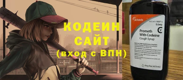 гидра Бородино