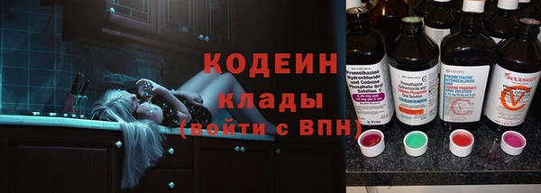 гидра Бородино