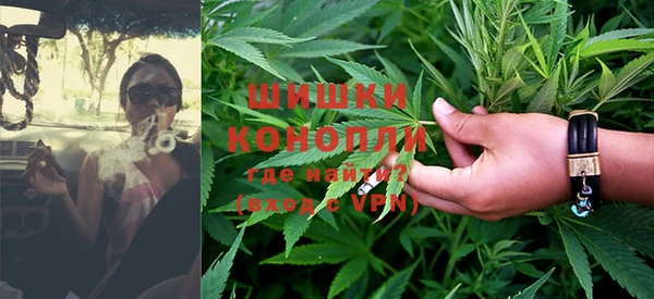 гидра Бородино