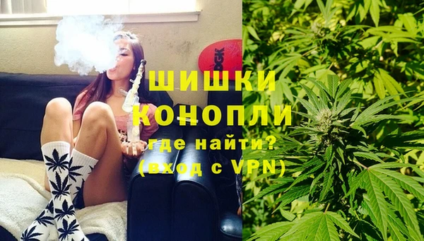 гидра Бородино