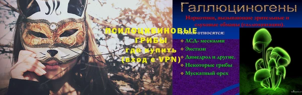 гидра Бородино